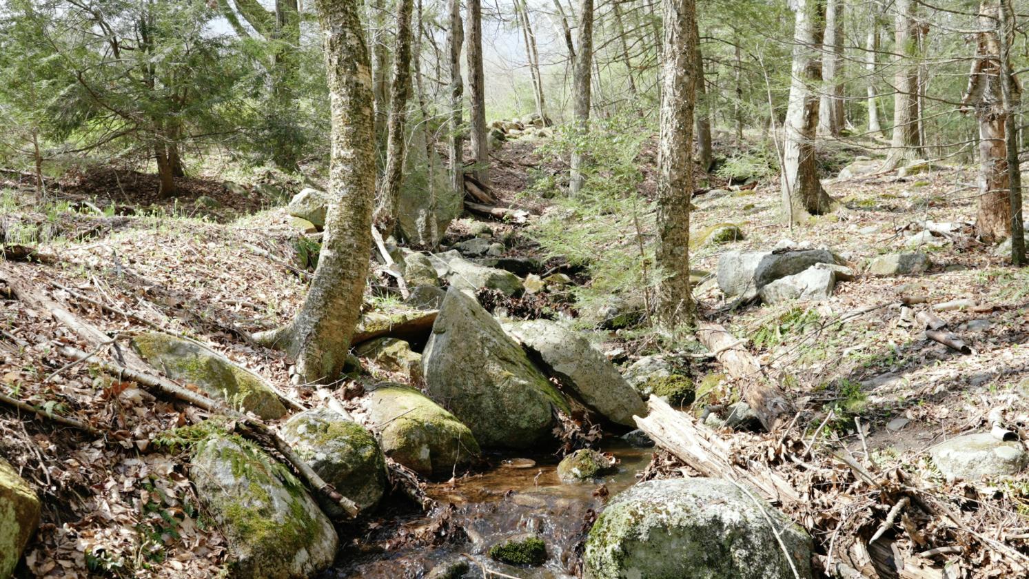 70 Acre Estate in North Granby - photo 6