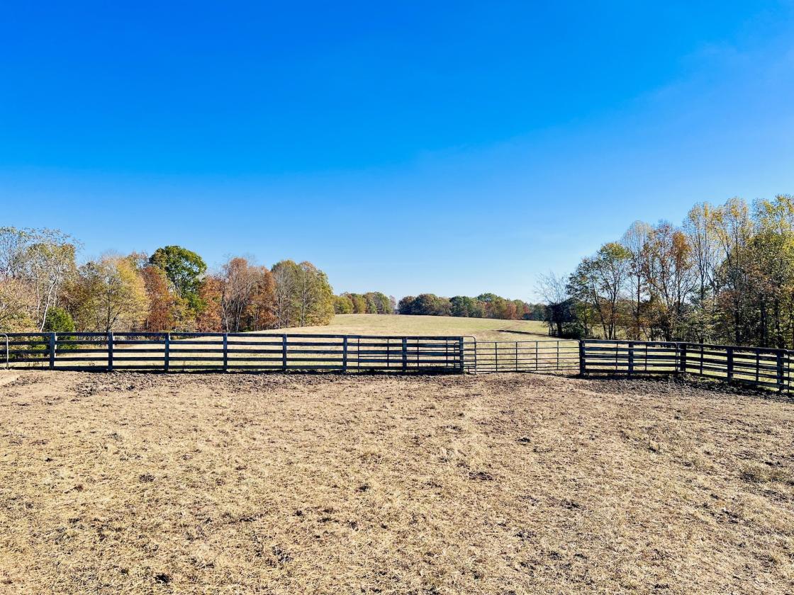 252 ACRES M/L NEAR LAKE CUMBERLAND - photo 10