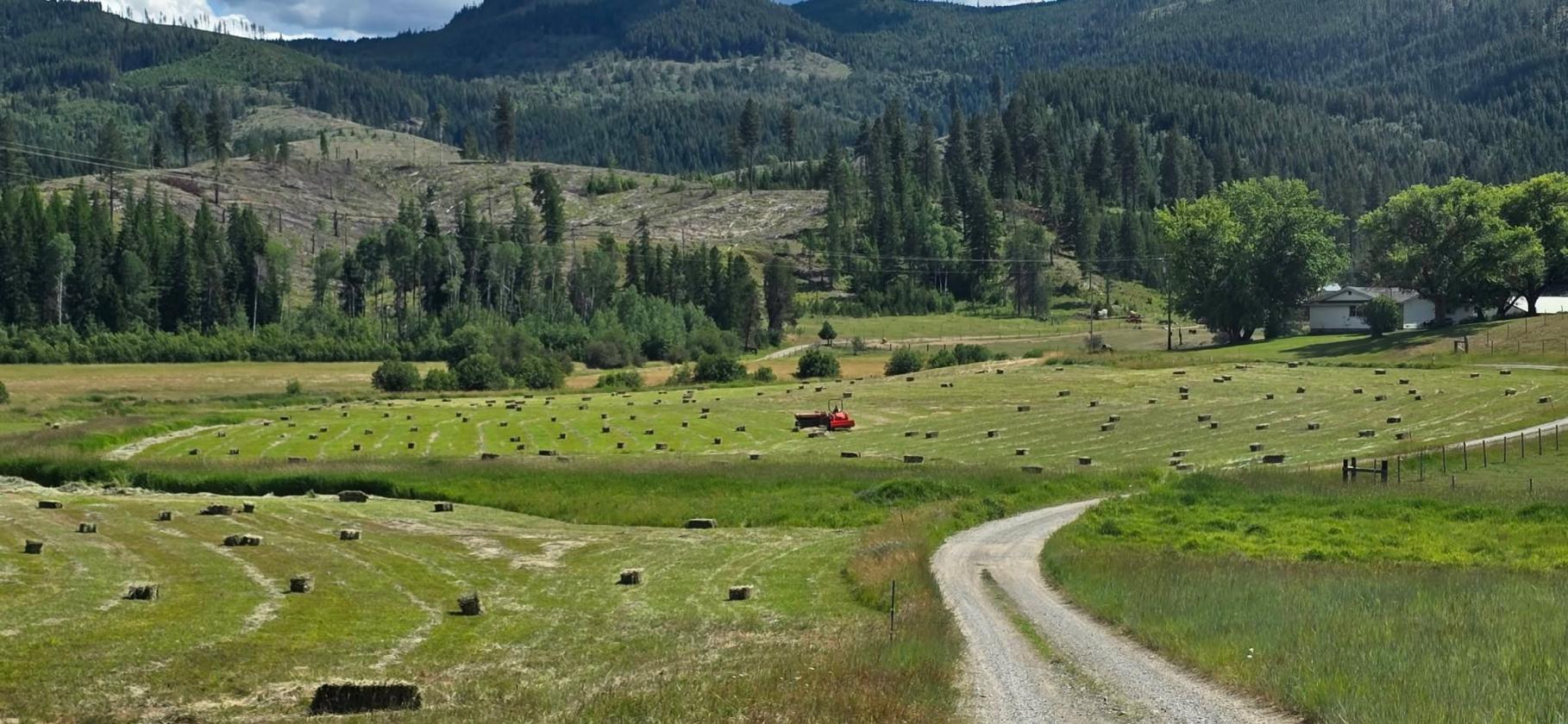 Blanchard Creek Valley - photo 2