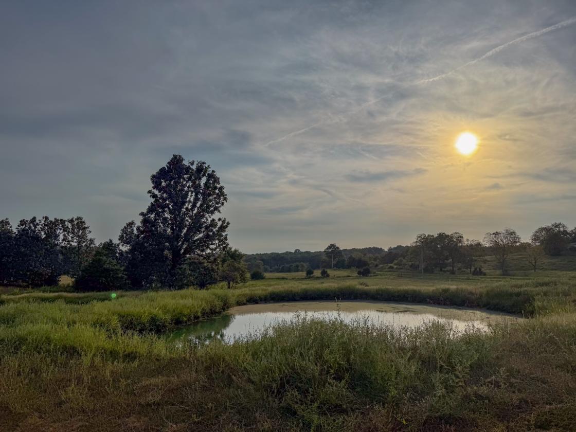 139 Acre Farm - Horse & Livestock Ready - photo 4