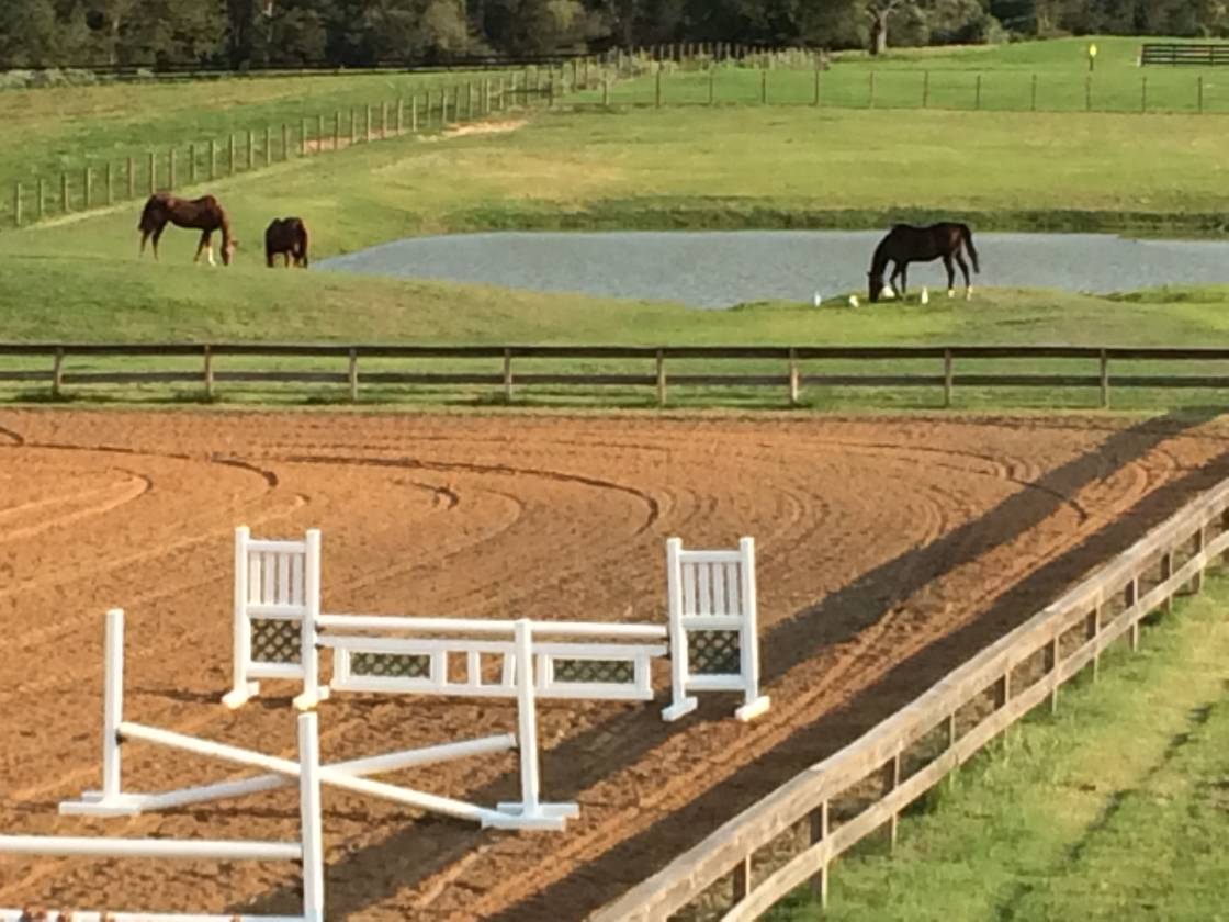 Country Home on 19 Acres Hempstead, Tx Barn, Apartment, Covered