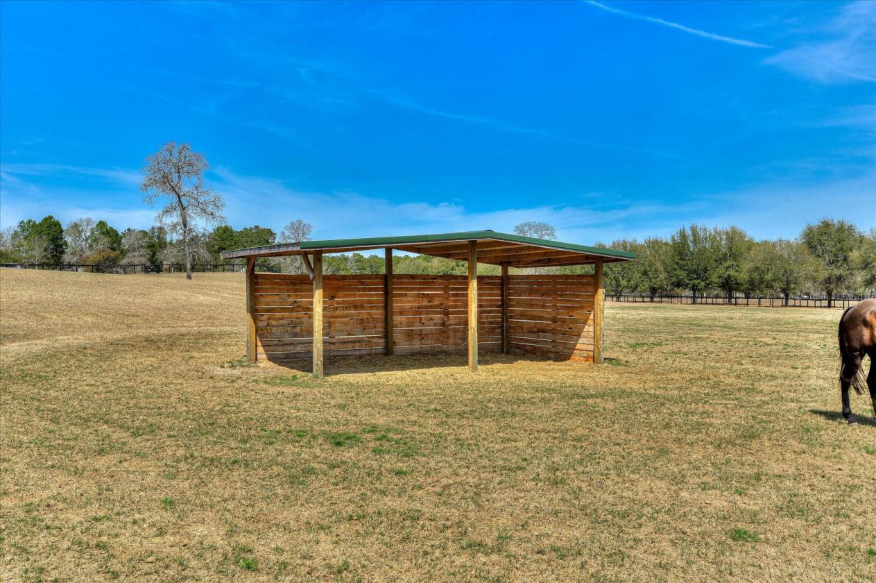 Aiken Farm |30 Acres, 16 Stalls, Home, Pool, View - photo 15