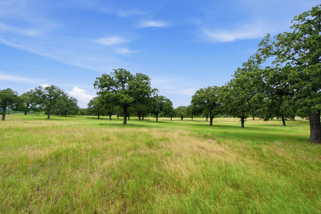 83 Acres | Home Near Cowboy Capital - photo 7