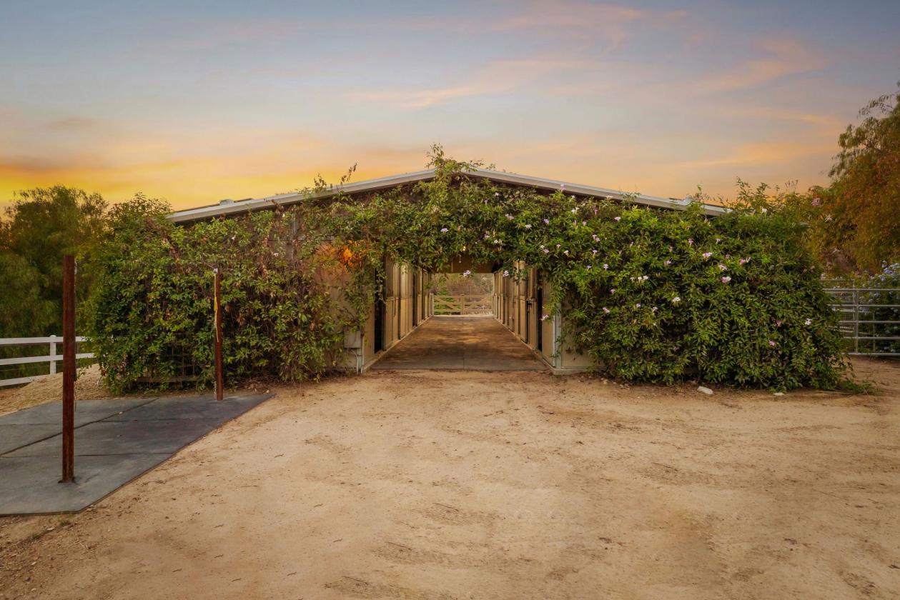 A Different Kind Of California Dream - photo 28