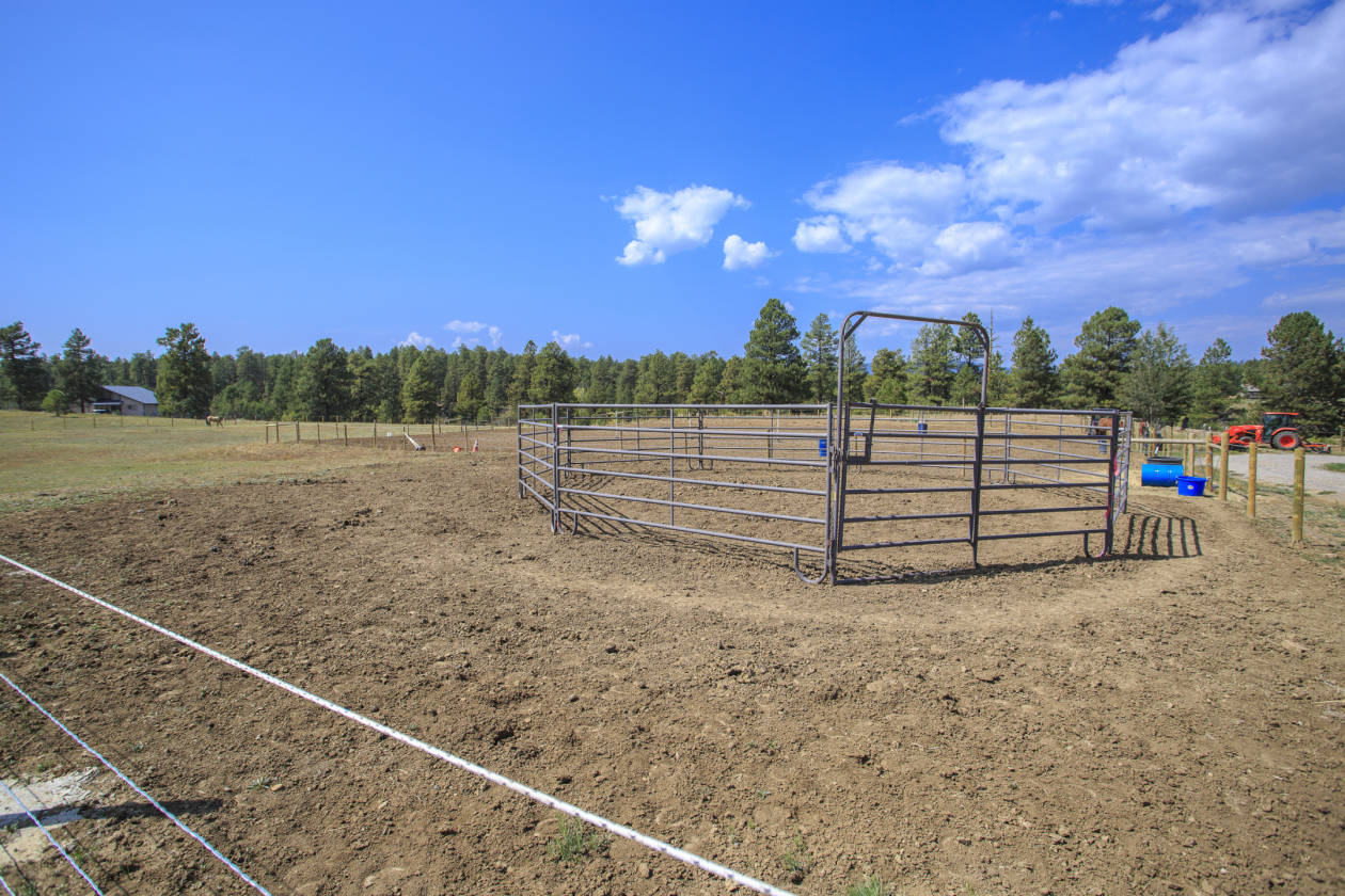 Pagosa Springs Horse owners dream! Pagosa Springs, Archuleta County