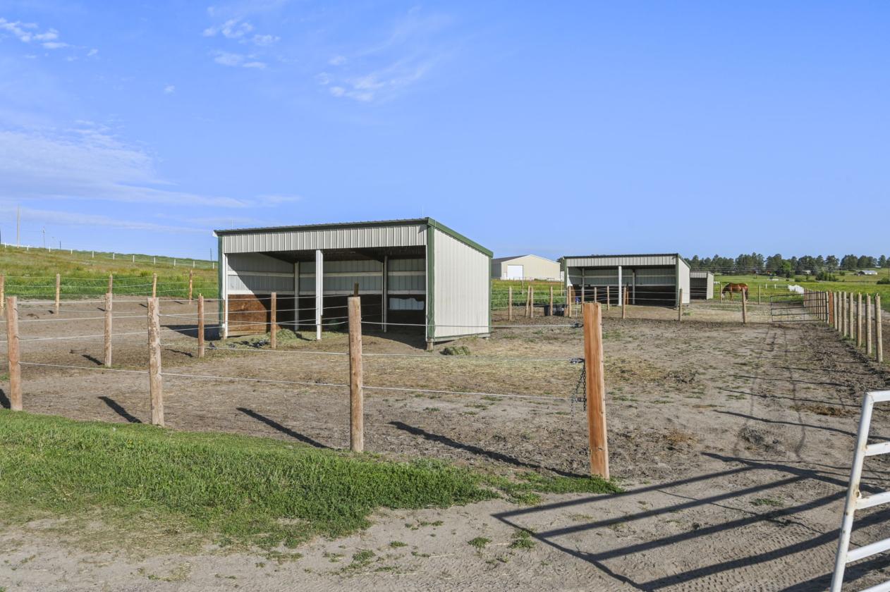 Exceptional Equestrian Estate in the heart of CO - photo 11