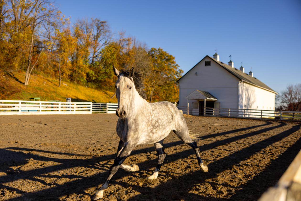 283-acre private compound just 65 miles from NYC - photo 26