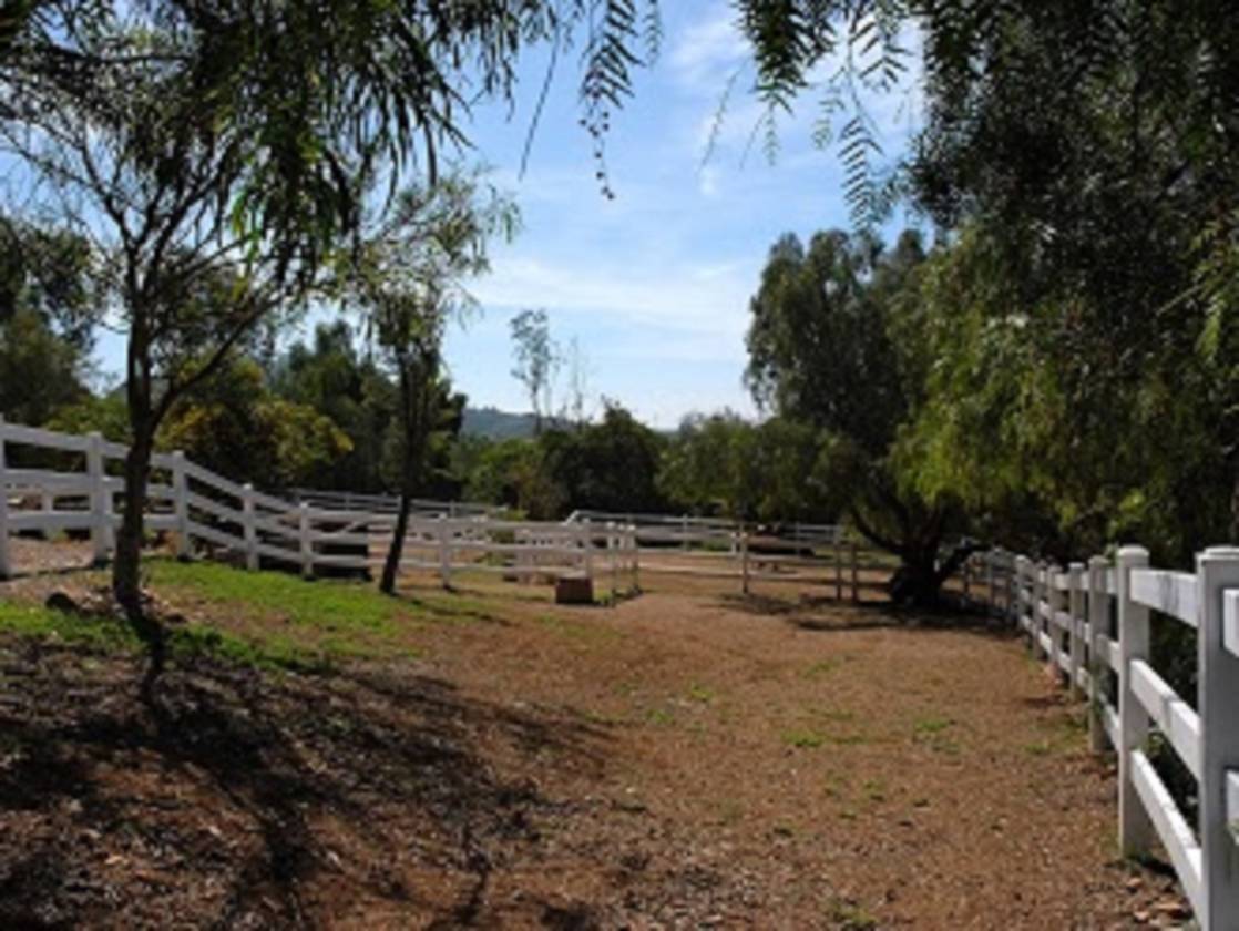 Working Horse Boarding and Training Facility ...FOR SALE ...