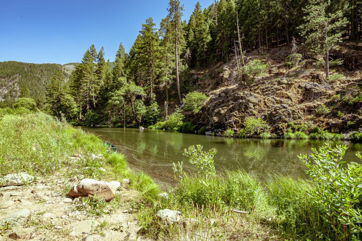 5 Cabins, Pond and Creek Frontage - photo 21