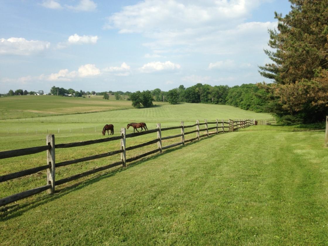 37-Acre 32 Stall Equestrian Estate w/ INDOOR - photo 4