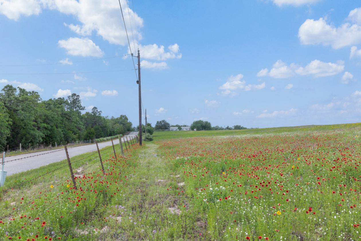 99 Unrestricted acres - photo 4