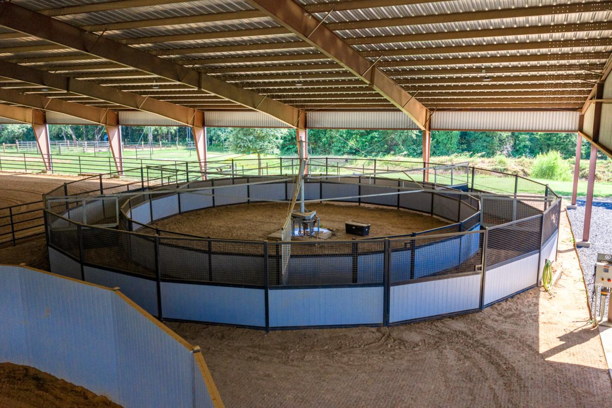Walnut Creek Horse Ranch - photo 16