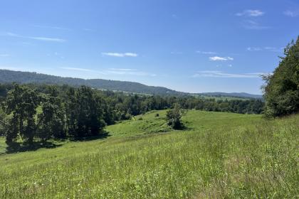 Property image.