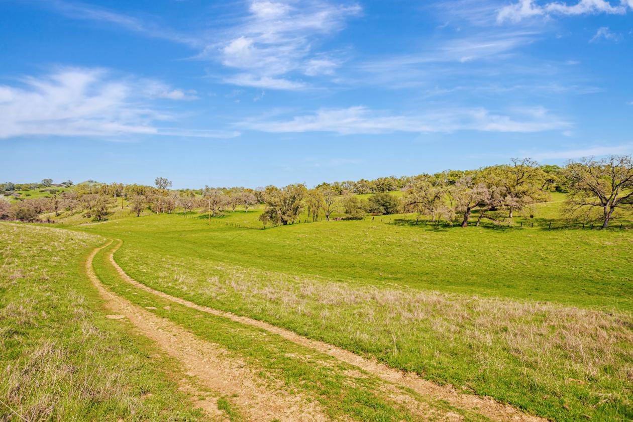 Not just a ranch but a lifestyle - photo 26