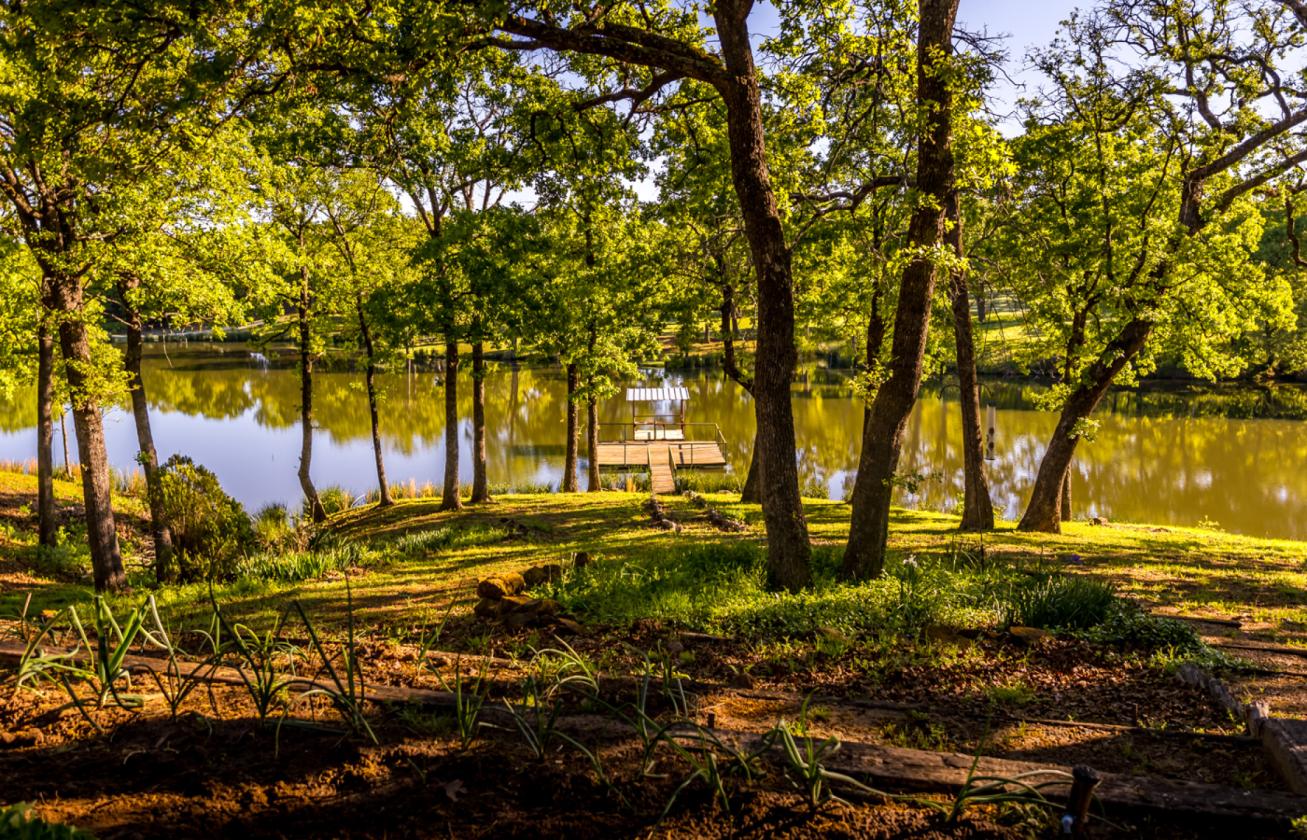 Spirit Ranch - Luxury NTX Equestrian Estate - photo 10