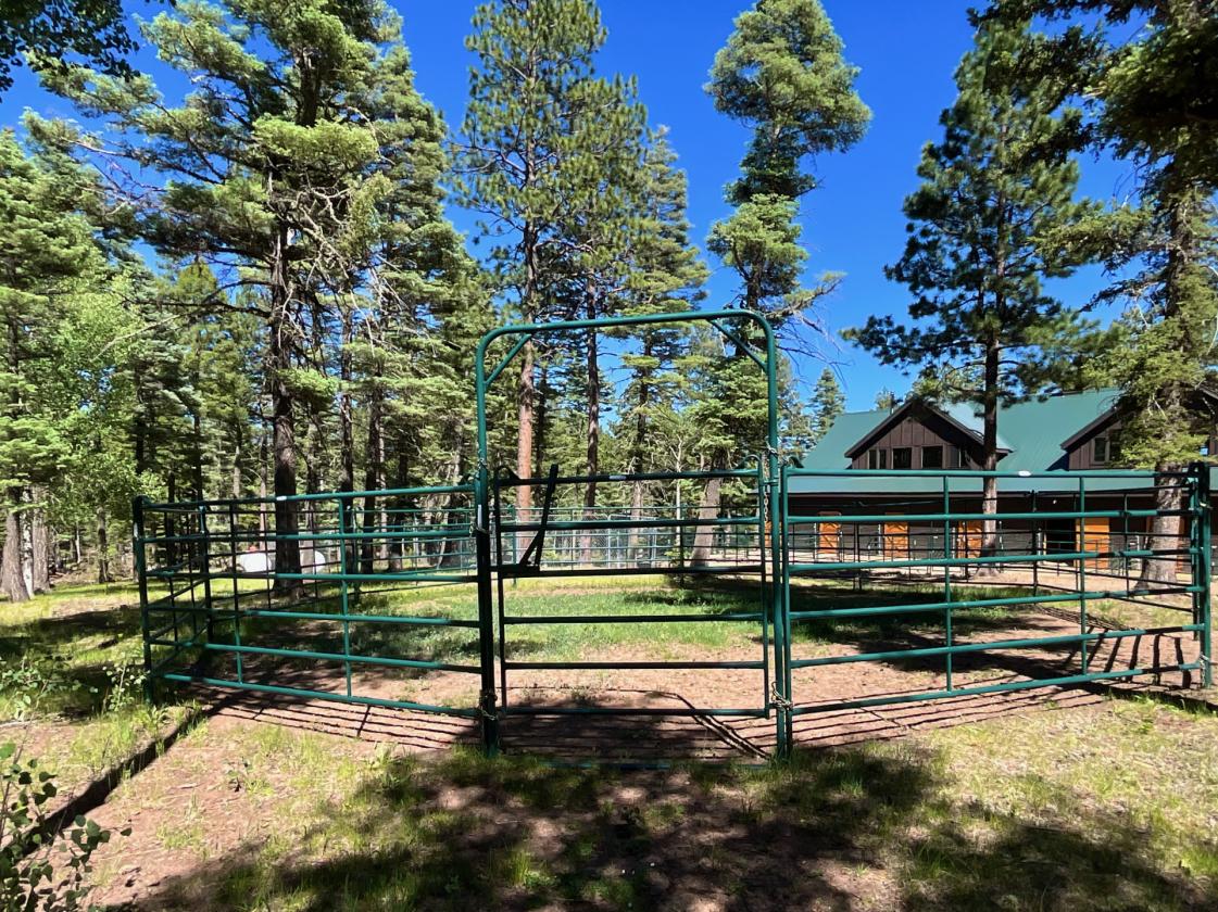 Horse Property Bordering Carson National Forest - photo 4