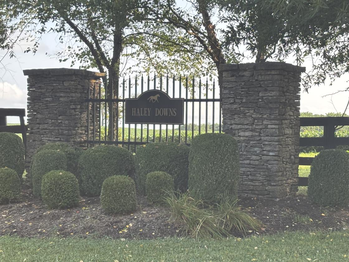 40 acres - photo 1