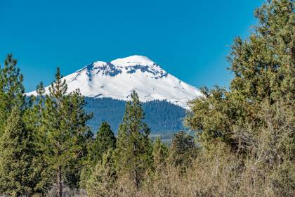 Property image.