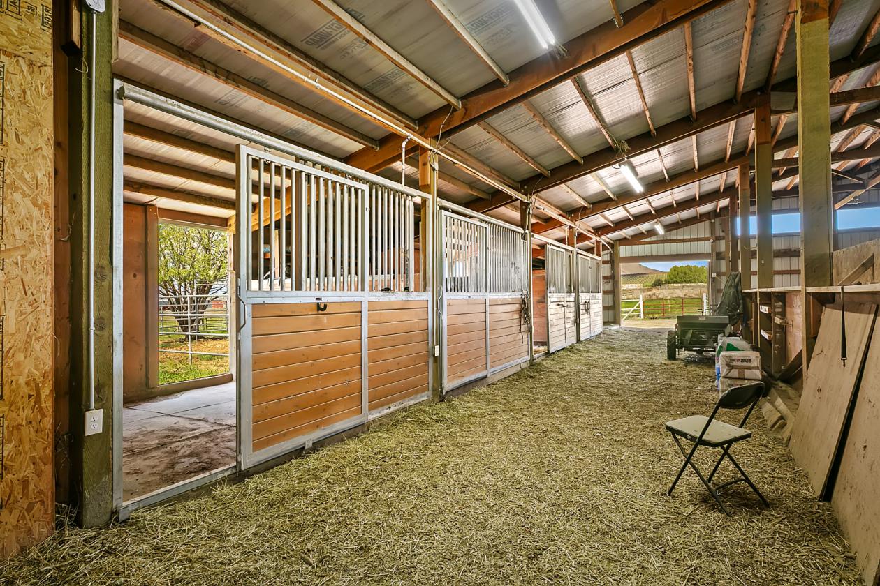 Where Horse and Rider Belong - photo 9