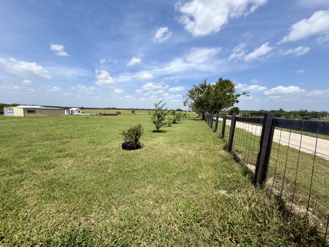 10 Acres and a CUTE cottage near Austin! - photo 6