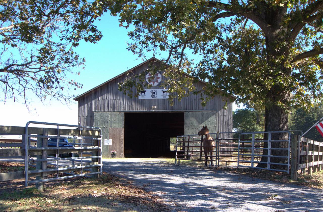 140 AC Horse Facility NC within 30 miles Pinehurst - photo 12