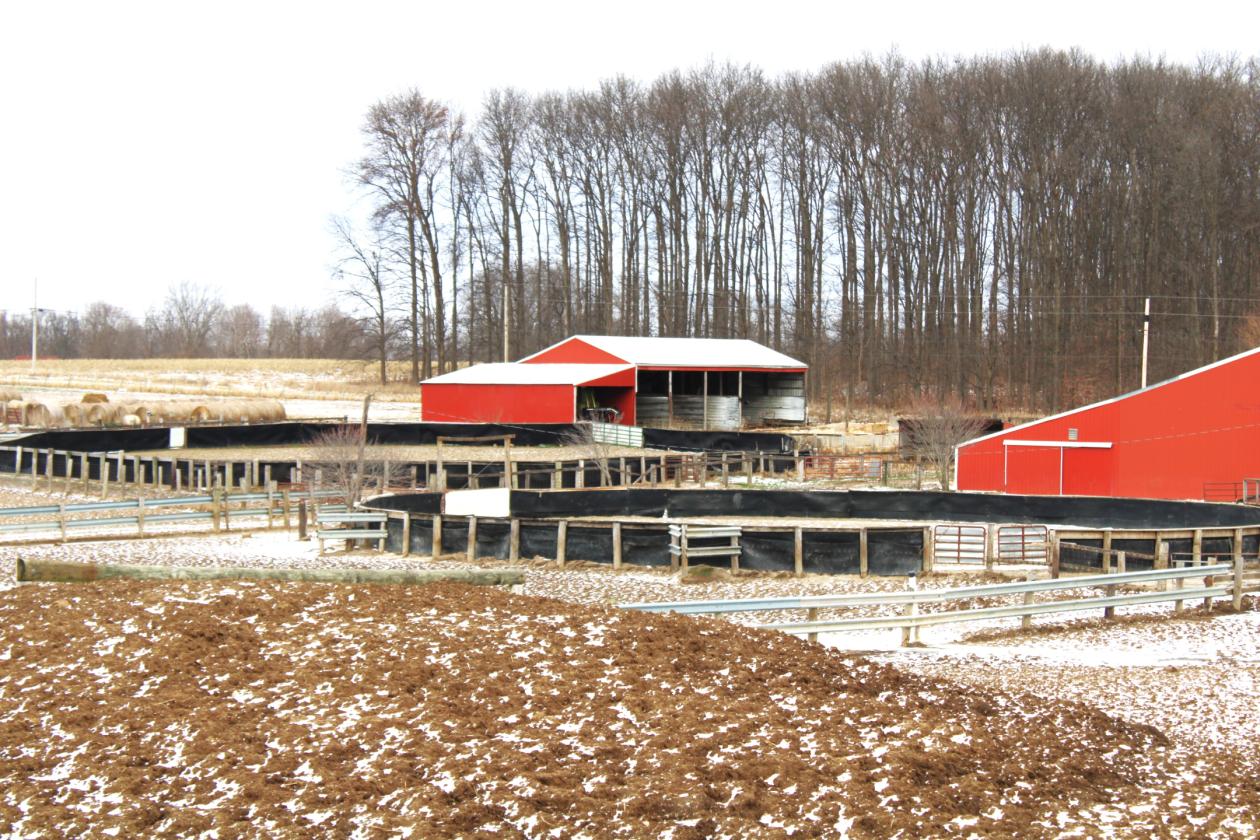 Central Indiana Horse Training & Boarding Facility - photo 29