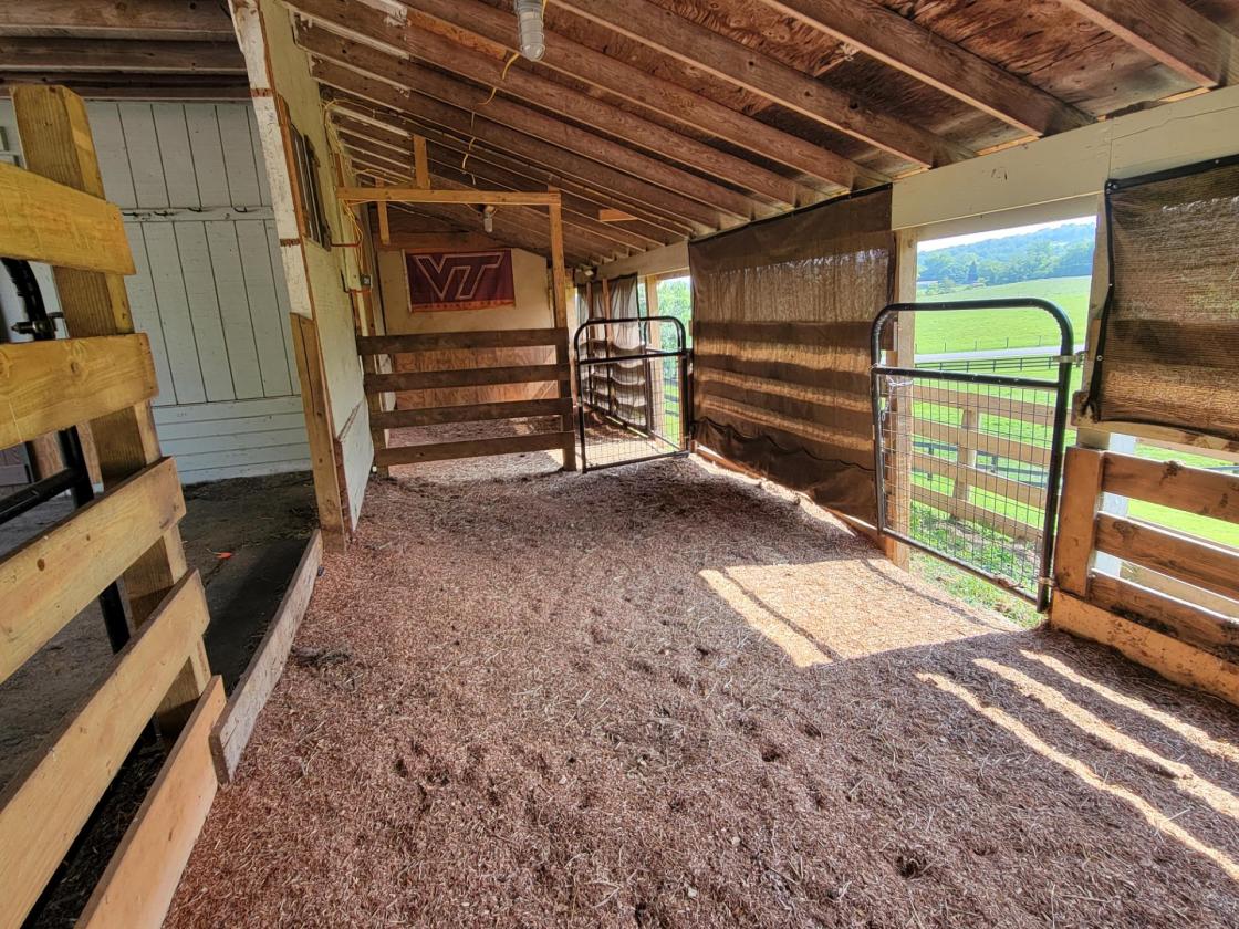 10-acre Horse Property with pool - photo 7