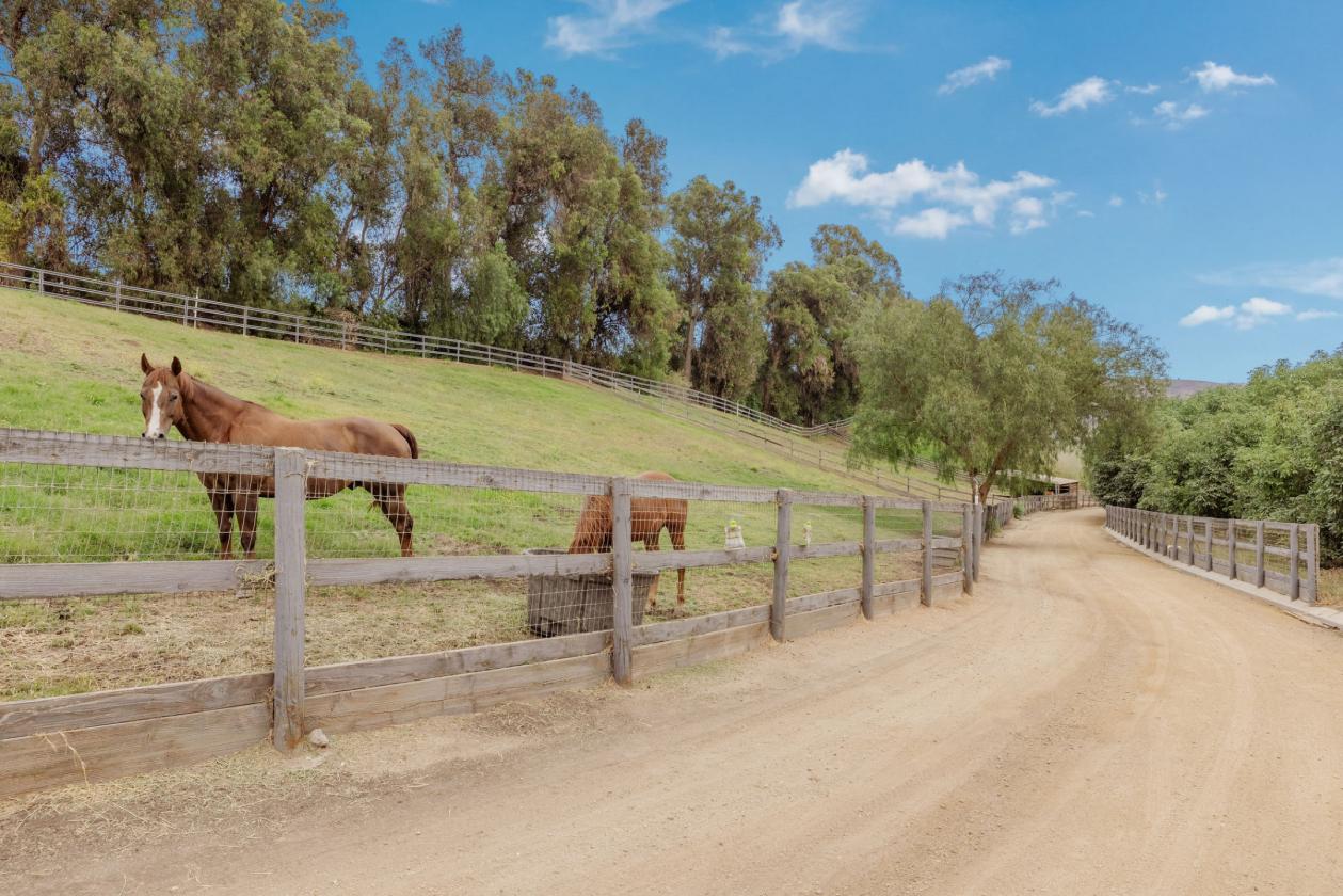 25 Acre Residential & Equestrian Facility - photo 26