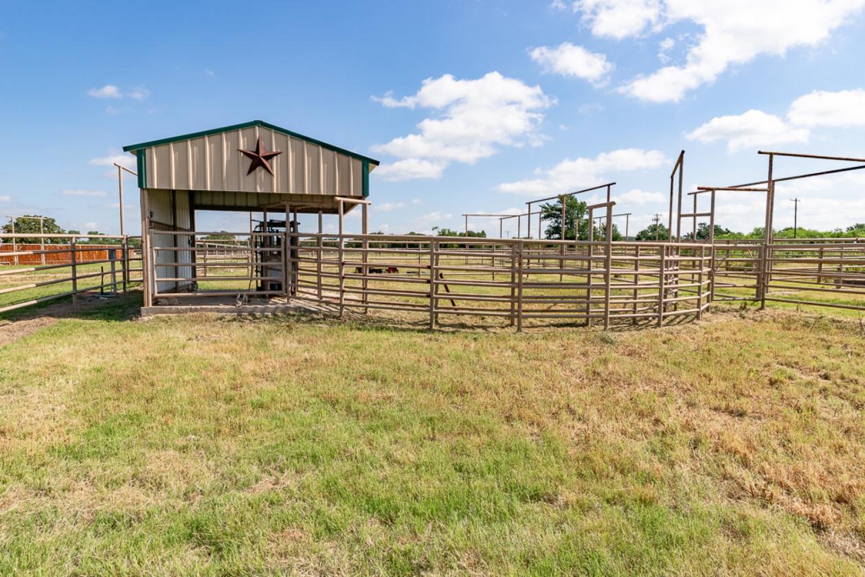 117.5 Acre Horse & Cattle & Rec. Property - photo 12