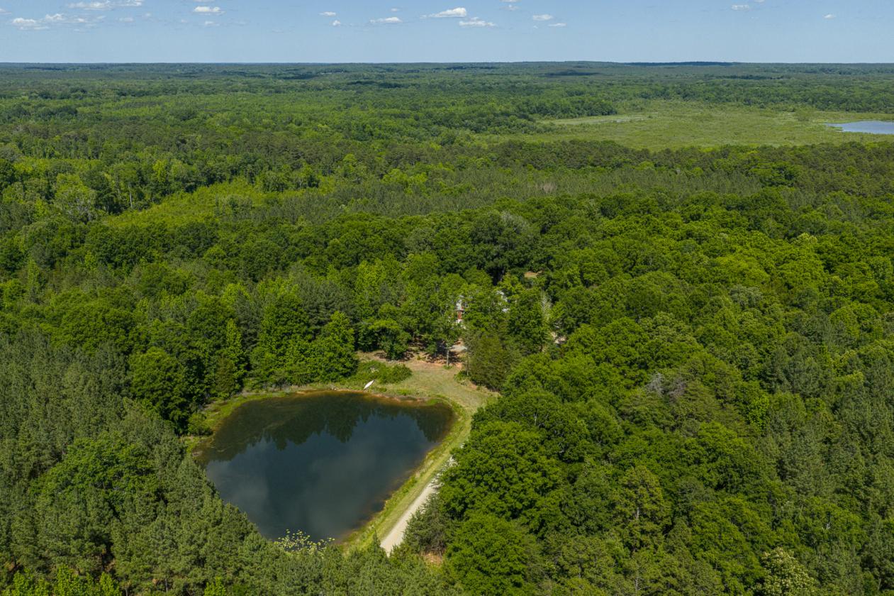 Spacious Home on 60 Acres - photo 4