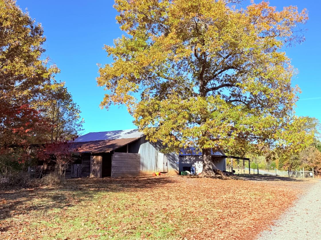 45-acre horse farm between Eden & Stoneville - photo 15