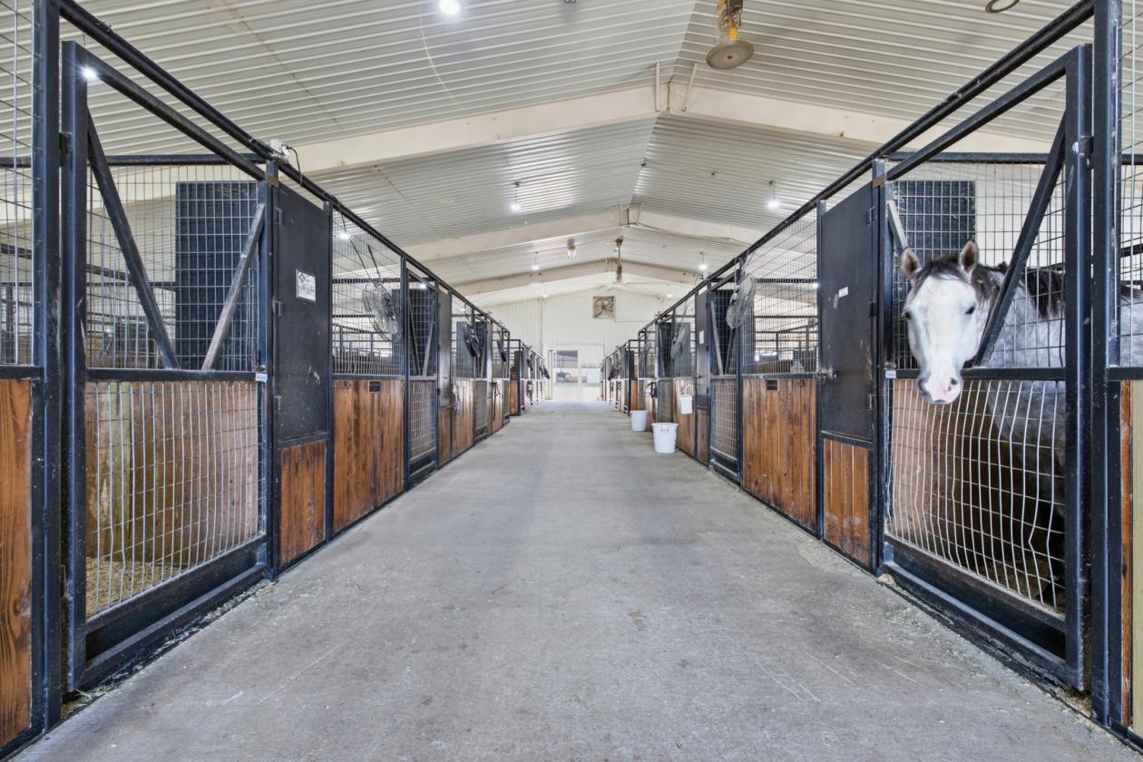 Exceptional Equestrian Estate w/ C-2 Potential! - photo 7
