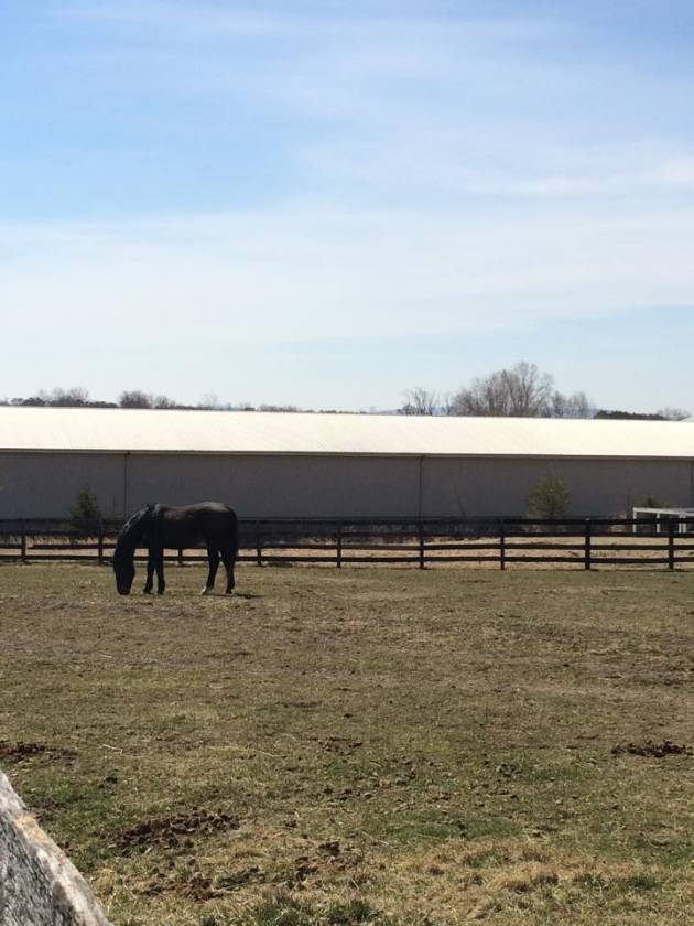 Carlisle Springs Farm - photo 14