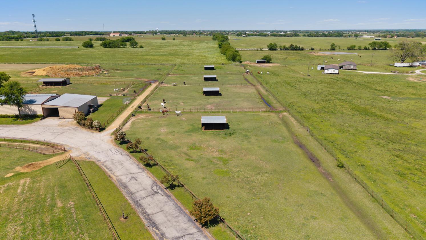 TM Horse Ranch - photo 21