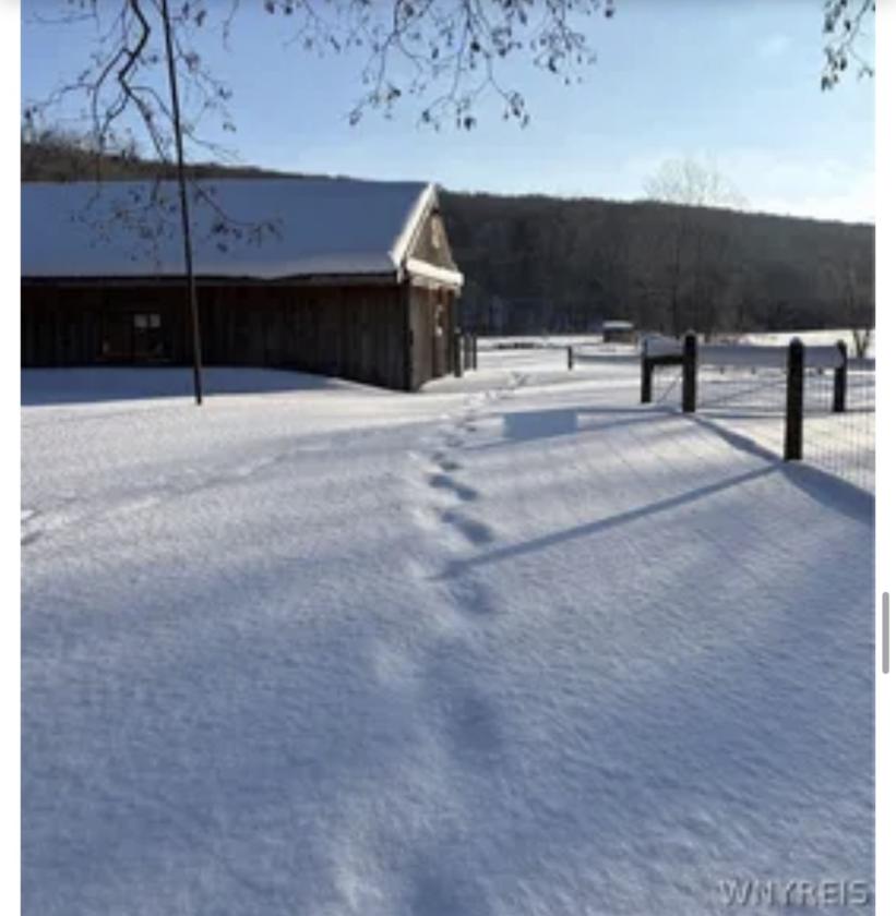 Horse Property gorgeous view 5ac- 2 barns & home - photo 26