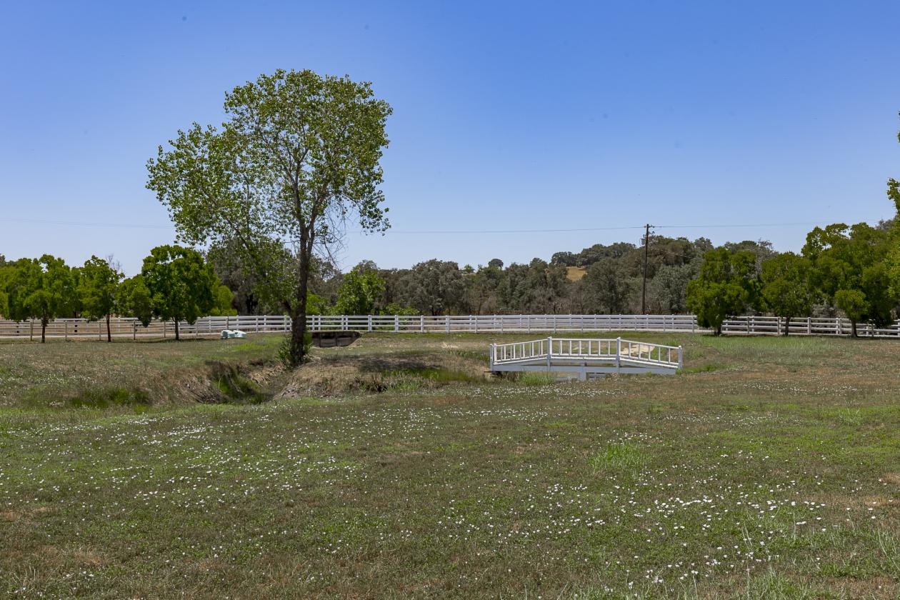 Historic 10-Acre custom Equestrian Estate & Vineyard - photo 6