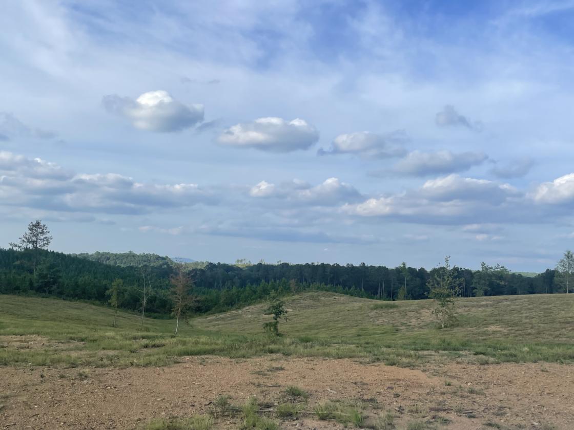 160 Acres in Shelby County w/ pastures and lake - photo 17