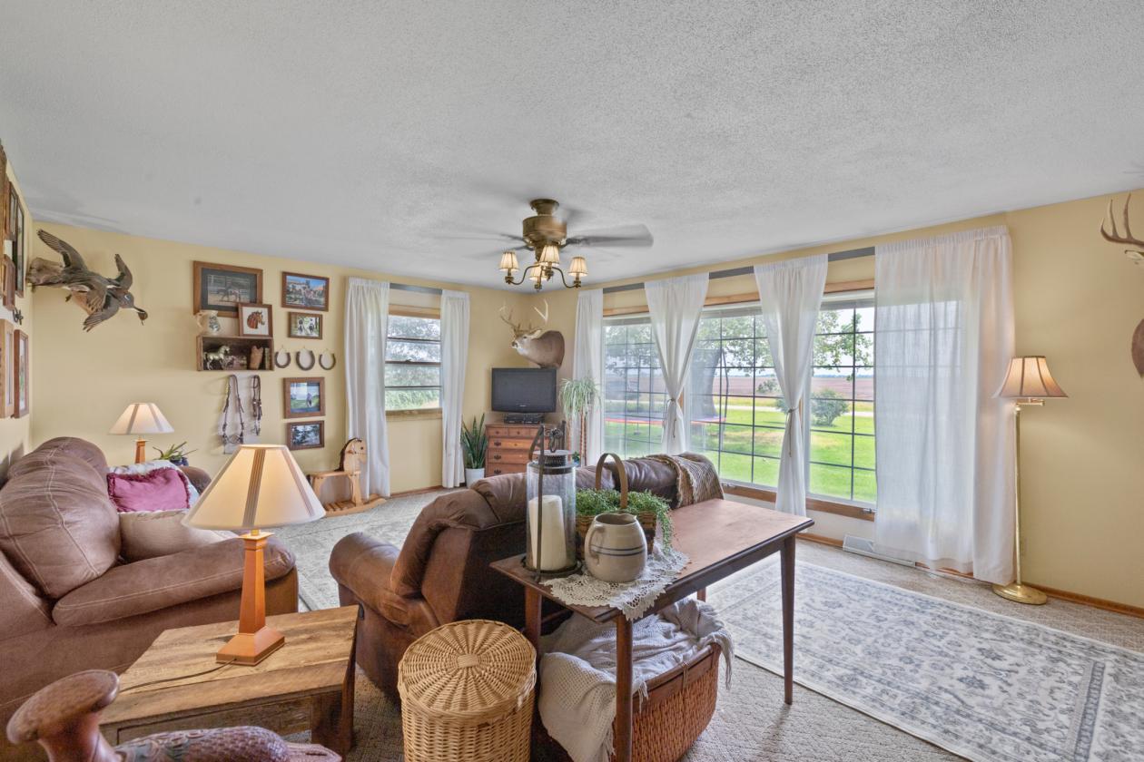 Turnkey Equestrian & Mini Farm - photo 11