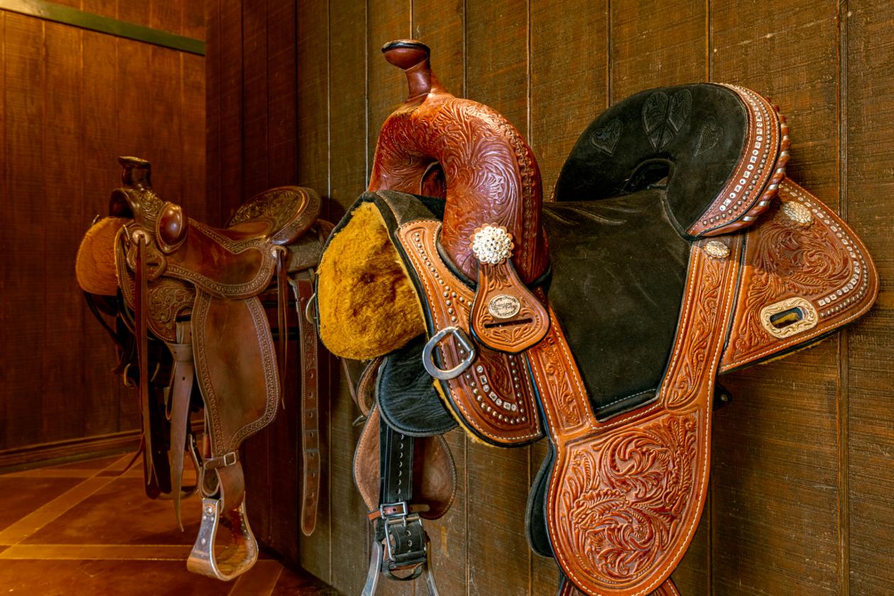 Luxury Equestrian Estate - photo 7