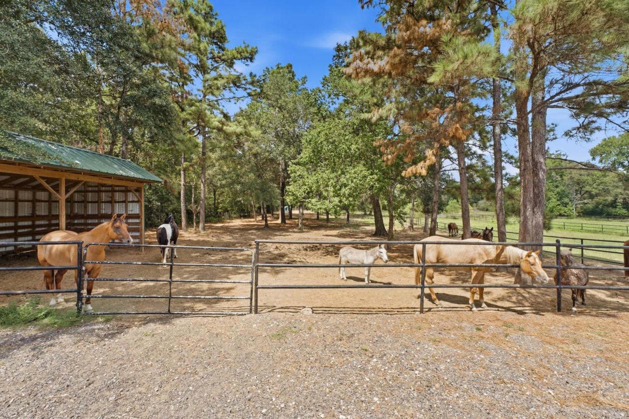 11+ Acre Premier Luxury Horse Property - photo 27