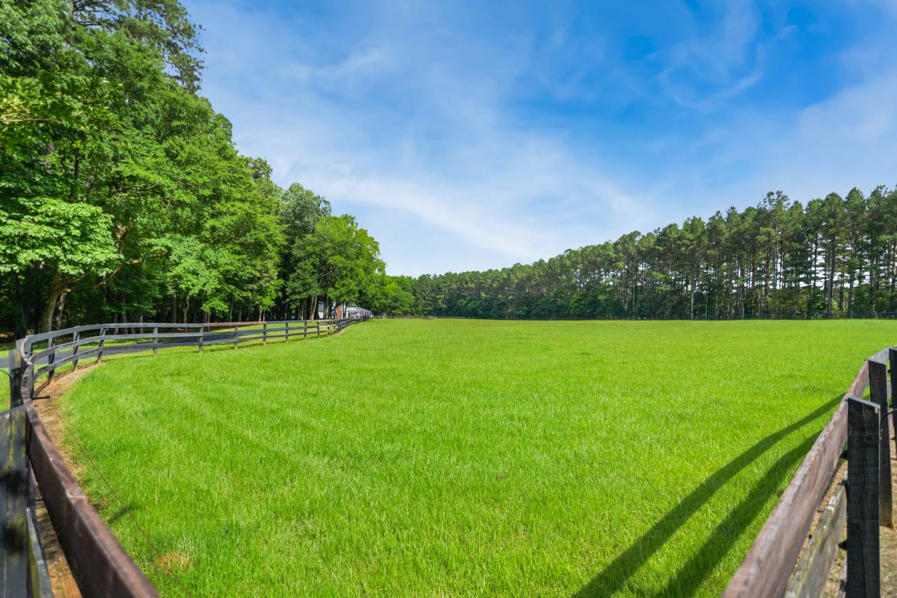 Horse Property for sale.