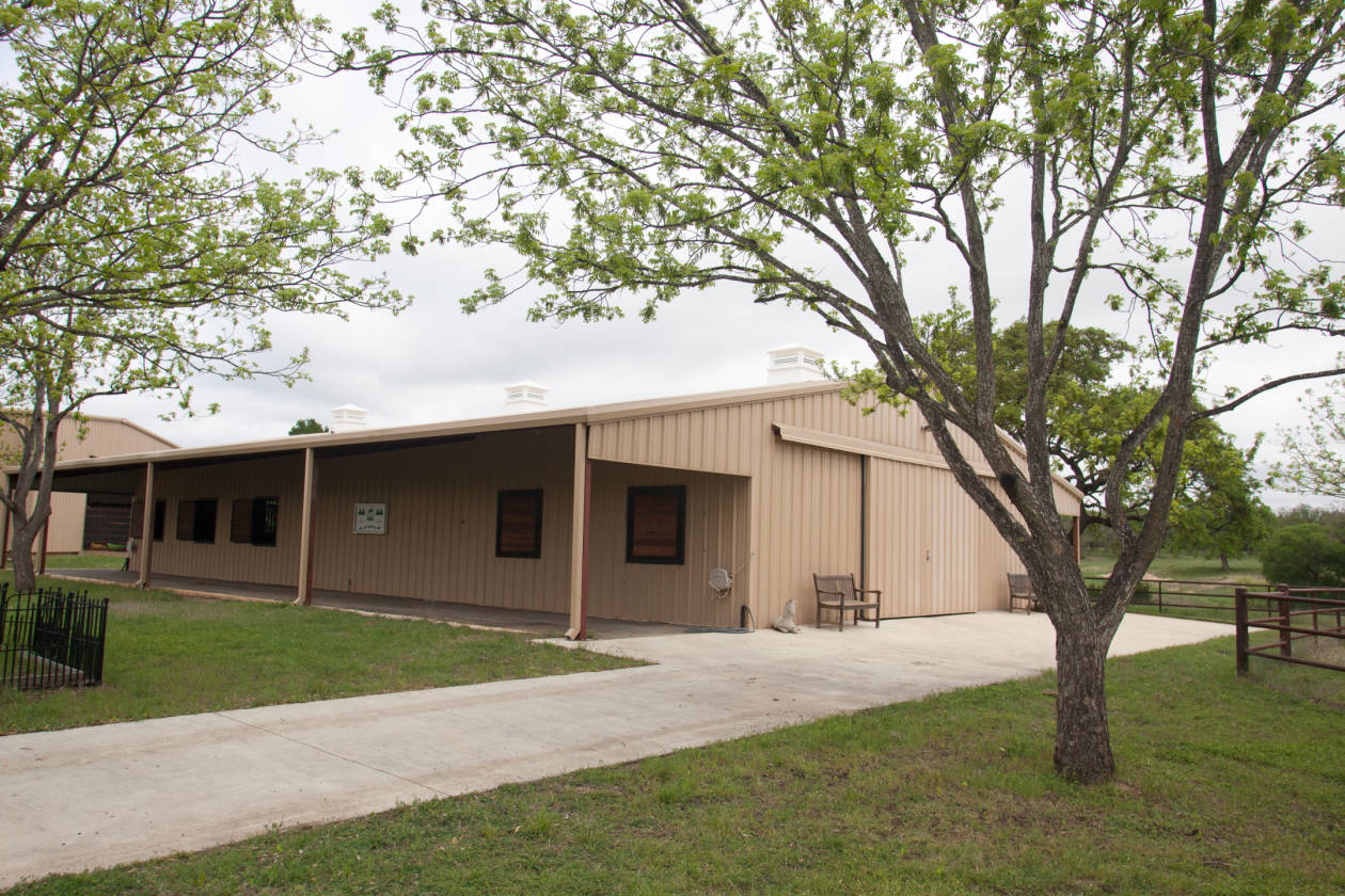 Horse Farm For Sale Texas Kerr County Ranch