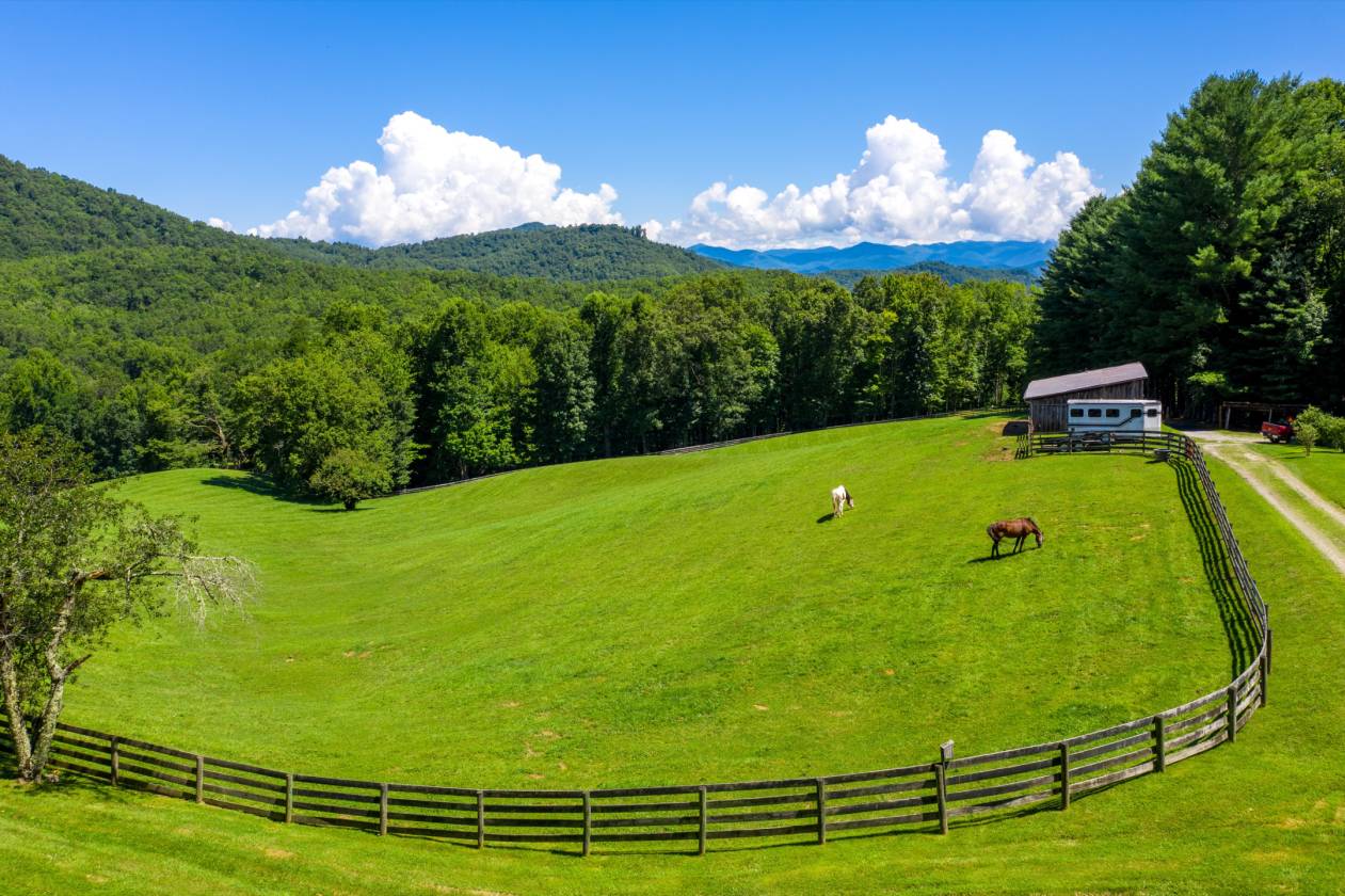 Horse Properties For Sale In North Carolina Estates, Ranches, Farms