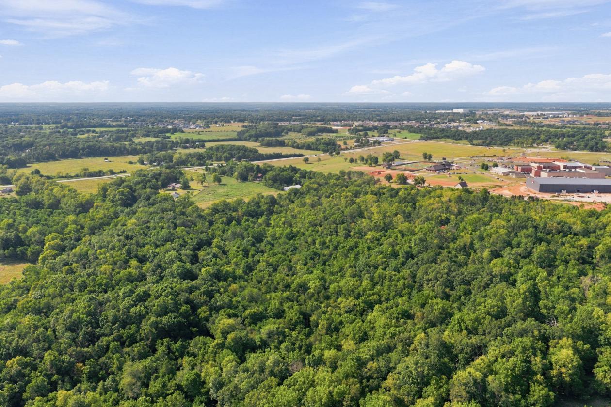 Legacy 56 ac. Estate- 7,800 sqft home, barn, creek - photo 7