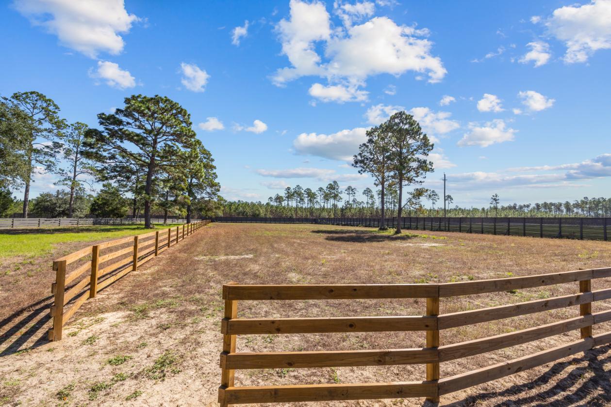 Modern Farmhouse with 3 Stall Barn on 20 Acres - photo 22