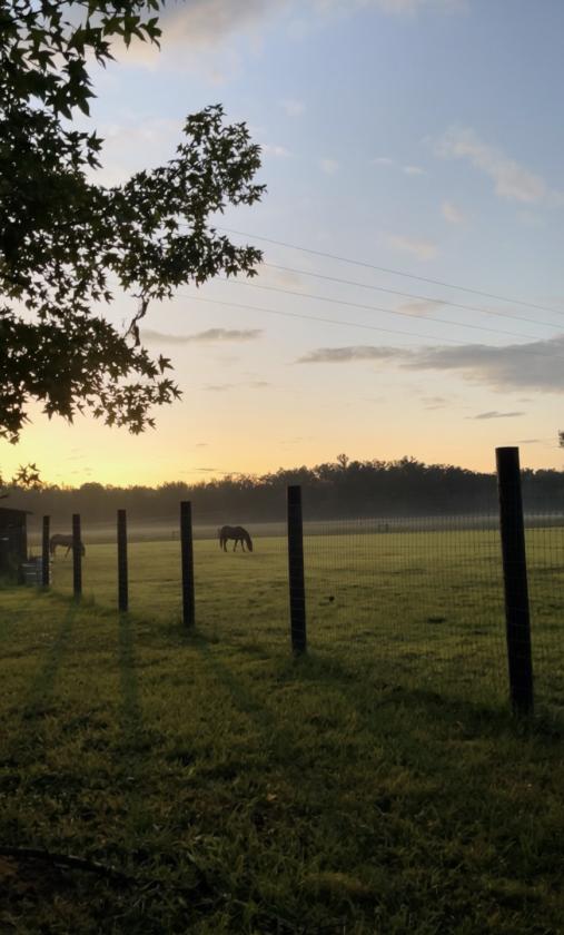 28 acre - photo 27