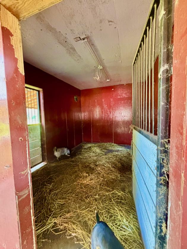 UNIQUE EQUESTRIAN AND ORGANIC FARM PROPERTY - photo 15