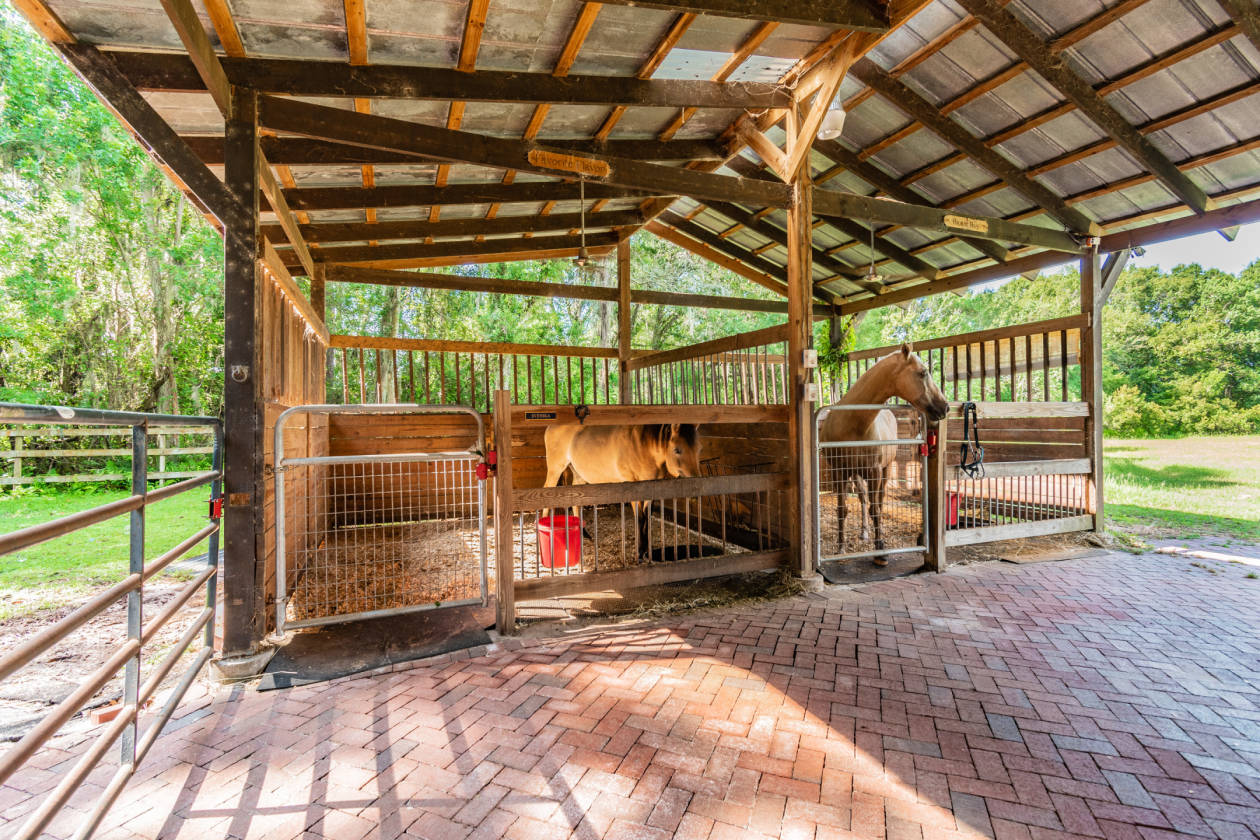 Horse property with POND, 2 bedroom apartment plus main home