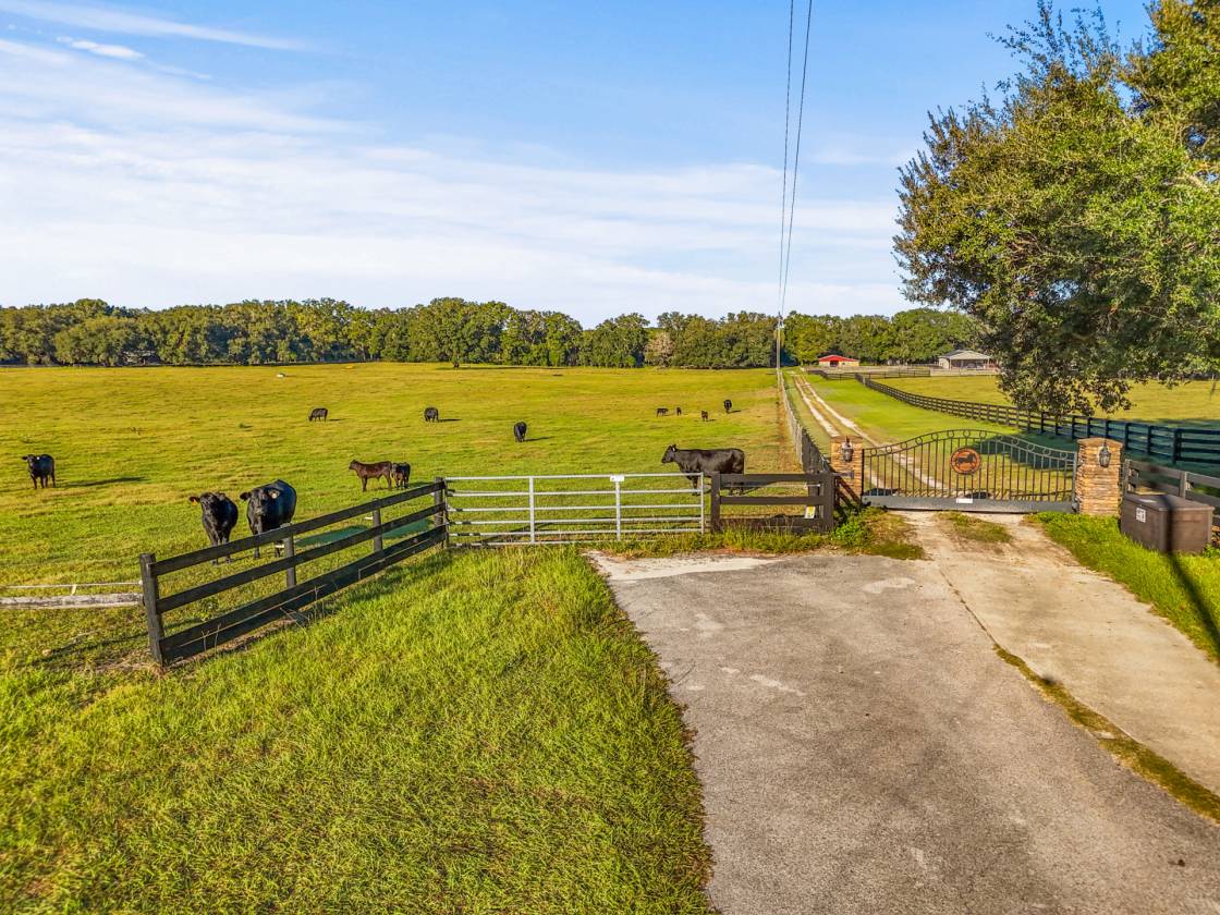 Horse Property for sale.