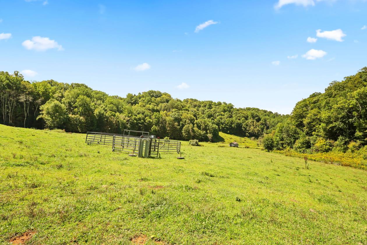Apple Tree Farm - A Rare Offering on 246+ Acres - photo 24
